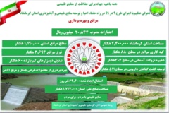 اینفوگرافیک