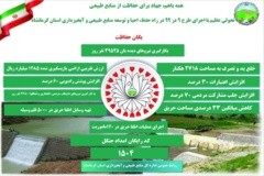 اینفوگرافیک