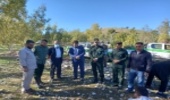 کاشت نهال در پادگان قدس ایذه به همت اداره کل منابع طبیعی خوزستان