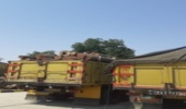 کشف 30 تن چوب قاچاق در شهرستان شوش