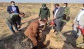 به یاد شهدای هسته ای در روز جهانی خاک، آغاز عملیات بیولوژیک منابع طبیعی و آبخیزداری خوزستان صورت پذیرفت