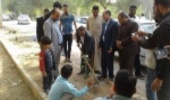 طرح ملی جنگلانه در پارک گمبوعه اهواز اجرا شد