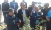 خوزستان، مقصد اولین سفر استانی رییس سازمان جنگلهای کشور 