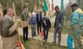 غرس چندین اصله نهال در سازمان جهاد خوزستان