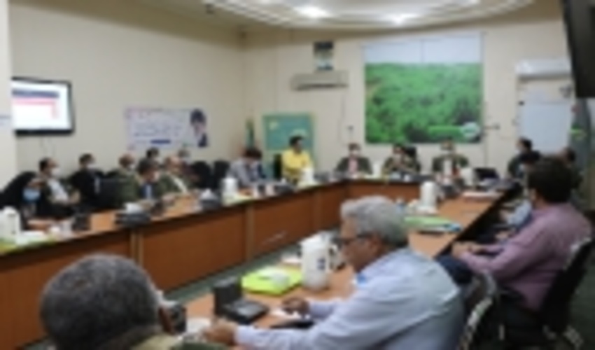 تاکید افلاطونی بر تسریع مبارزه با آفات و امراض جنگل ها