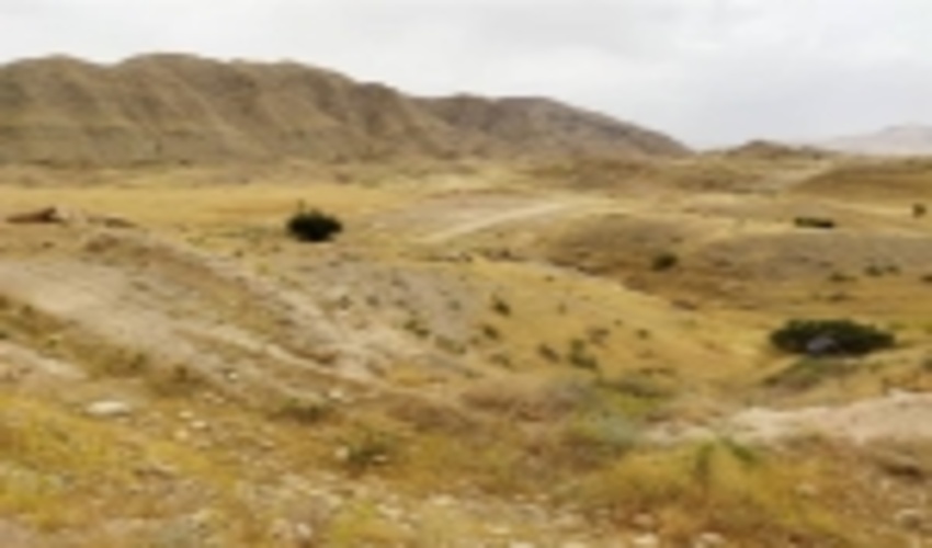 یگان حفاظت منابع طبیعی بیشتر از پیش در تلاش