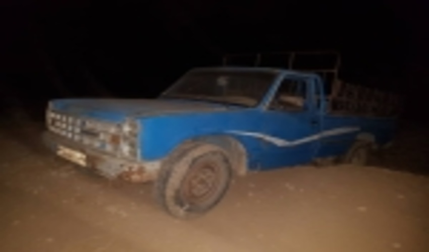 دستگیری عاملان قطع درختان بیشه های شهرستان دزفول