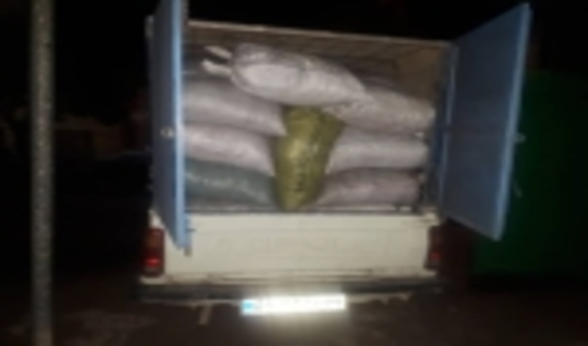 حمل کنندگان ذغال قاچاق در اندیکا به دام افتادند