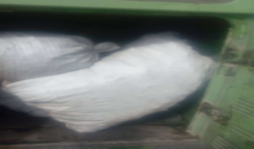 آتش بی رحمی که باعث شد چندین درخت به زغال تبدیل شوند