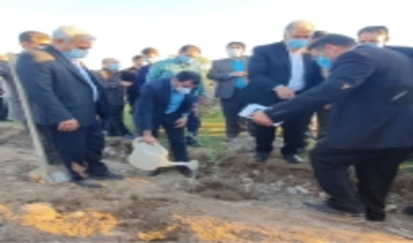  کاشت 1400 اصل نهال در پارک جنگلی میلاد دزفول