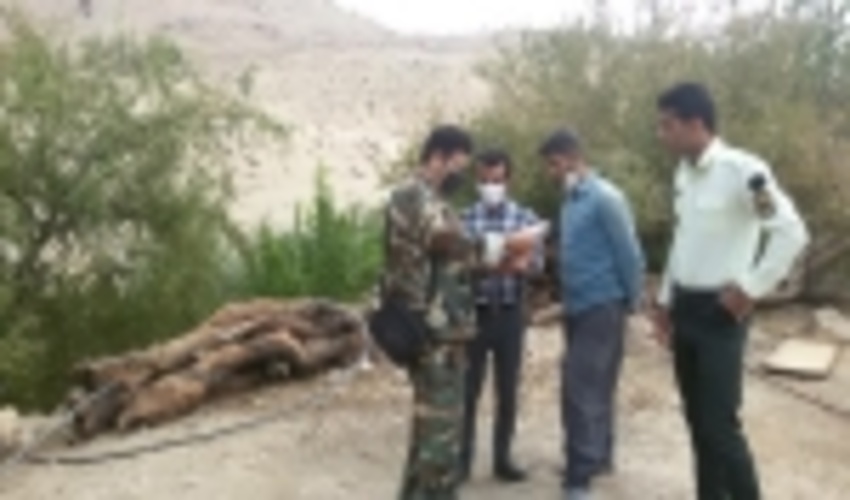 متصرفان زمین از چنگ قانون در امان نخواهند بود