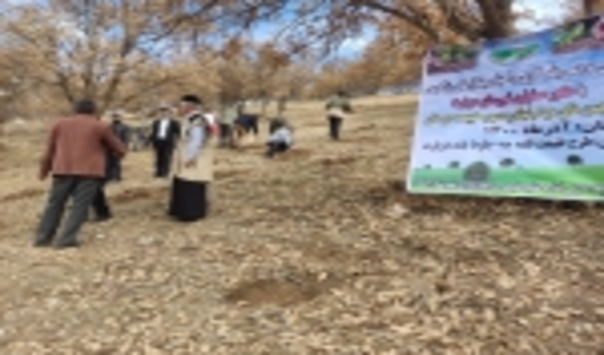 خوزستان به نیابت از کل کشور بار توسعه و تخریب سرزمین را به دوش می‌کشد