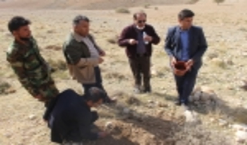 پویش مردمی بذر کاری به منظور احیای جنگل‌های زاگرس راه اندازی شد