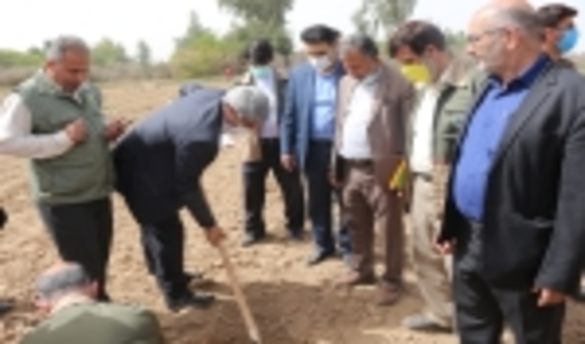 فرهنگ نهال کاری را با مشارکت مردم باید ترویج دهیم.