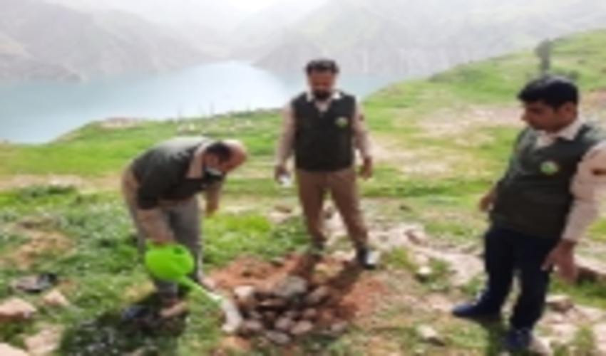 مراسم نهالکاری در شهرستان لالی