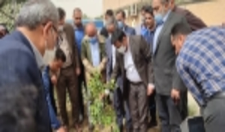 نهال کاری با مشارکت منابع طبیعی، ورزش و امور جوانان و بنیاد شهید 