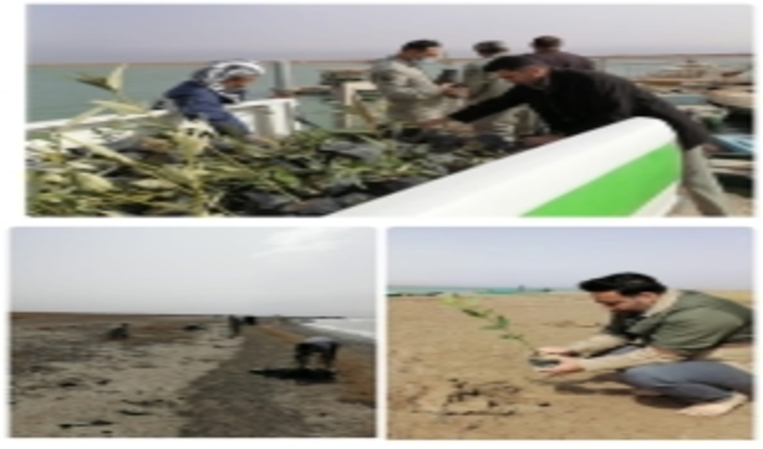 پویایی آبادان ،خرمشهر،شادگان در هفته منابع طبیعی