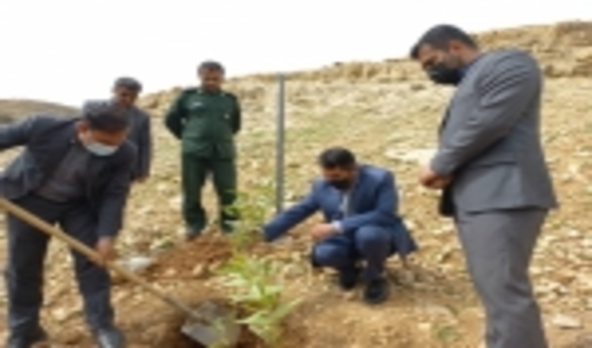 اقدامات ایذه در هفته منابع طبیعی و درختکاری درخشان تر از قبل