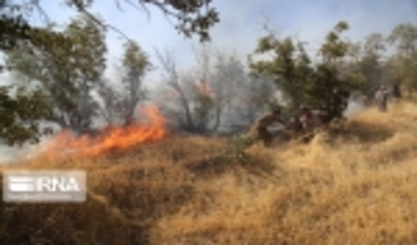 کاهش ۵۲ درصدی آتش‌سوزی منابع طبیعی در خوزستان