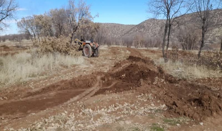 ازدید معاون سازمان جنگل‌ها مراتع و آبخیزداری کشور از جنگل‌کاری مانگرو (حرا کاری) شهرستان آبادان