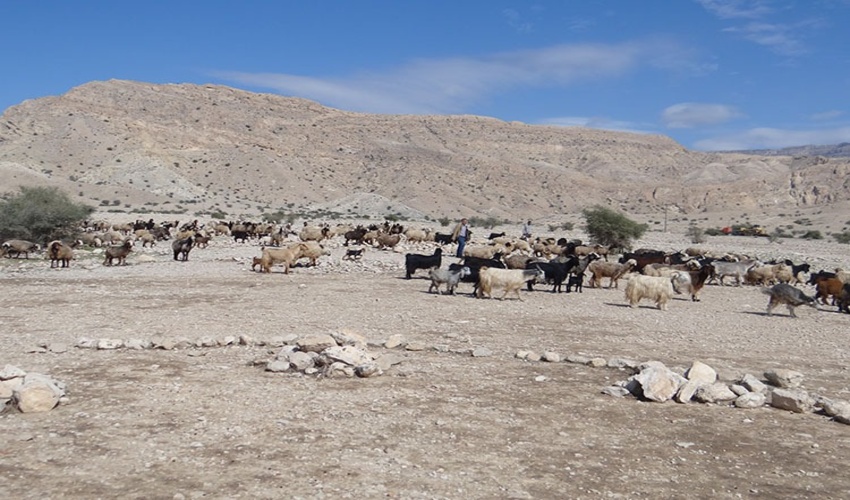 برگزاری نشست علمی و پژوهشی 