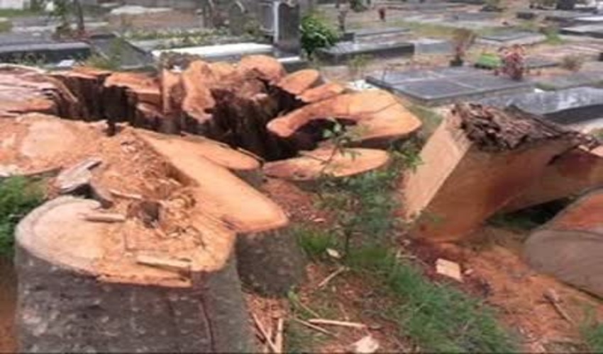 بند های سنگی ملاتی قلا سوره اندیمشک