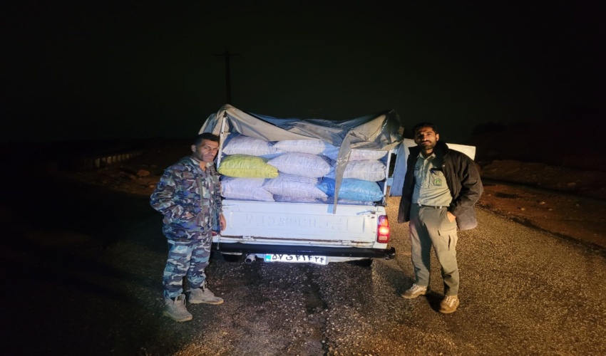 حافظان طبیعت اندیکا قاچاقچیان زغال را ناکام گذاشتند