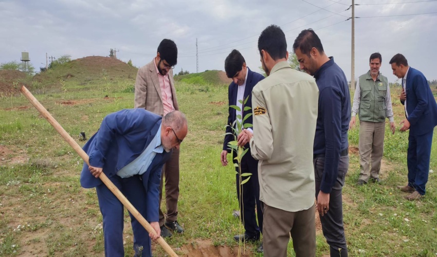 خوزستان به تنهای یک چهارم نهال‌های نهضت ملی ایران سبز تامین می‌کند