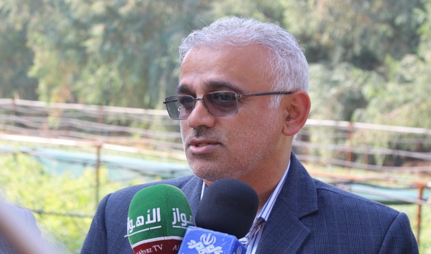 بازدید رئیس سازمان منابع طبیعی از طرح اقتصادی زراعت چوب شرکت پاک چوب شوش/ به روایت تصویر