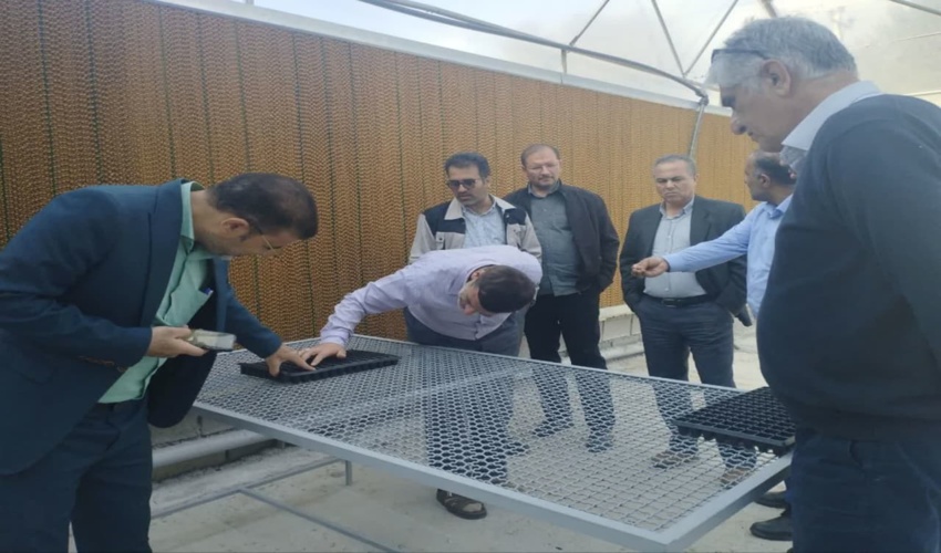 معاون امور مرتع،آبخیزداری و بیایان سازمان منابع طبیعی و آبخیزداری کشور از نهالستان صنعتی احداث شده در شهرستان آزادگان بازدید کرد