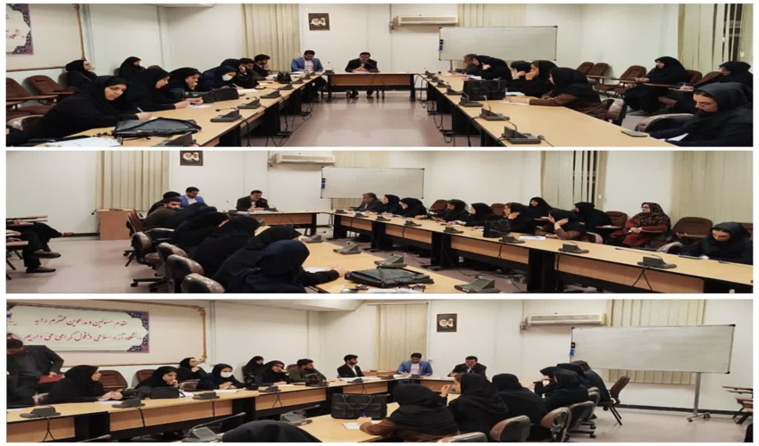 کارگاه طرح نویسی پروژه‌های منابع طبیعی در شهرستان دزفول برگزار شد