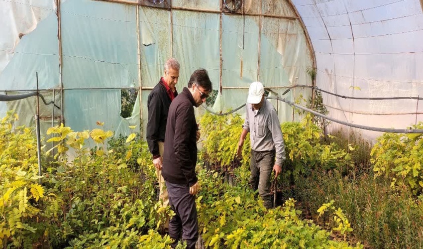 مسئول دبیرخانه طرح مردمی کاشت یک میلیارد درخت از نهالستان بهبهان