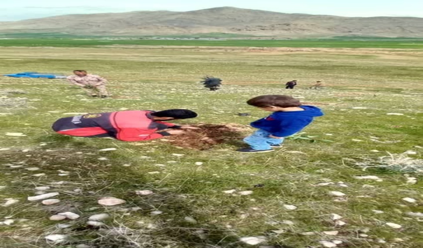 ‌طرح مردمی کاشت یک میلیارد درخت و نهالکاری همگانی در شهرستان ایذه اجرایی شد