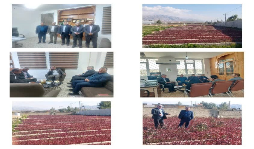 روز پرکار نماینده ویژه مدیر کل منابع طبیعی خوزستان در شهرستانهای  باغملک و صیدون