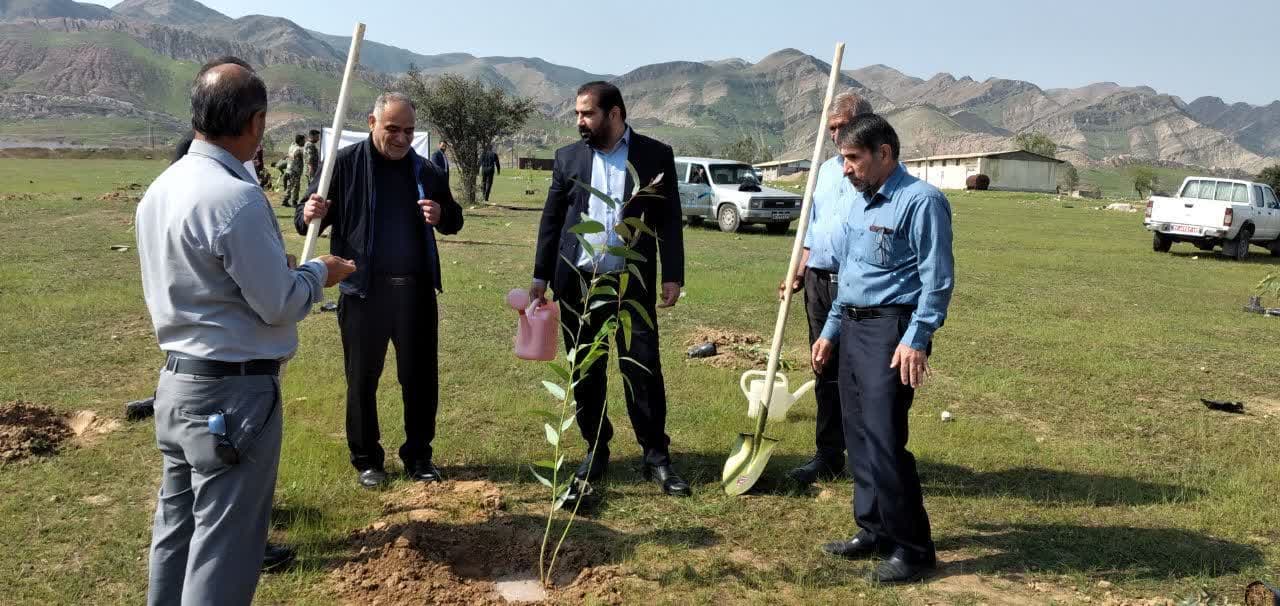 عملیات کاشت نهال به مناسبت روز درختکاری در شهرستان مسجد سلیمان انجام شد